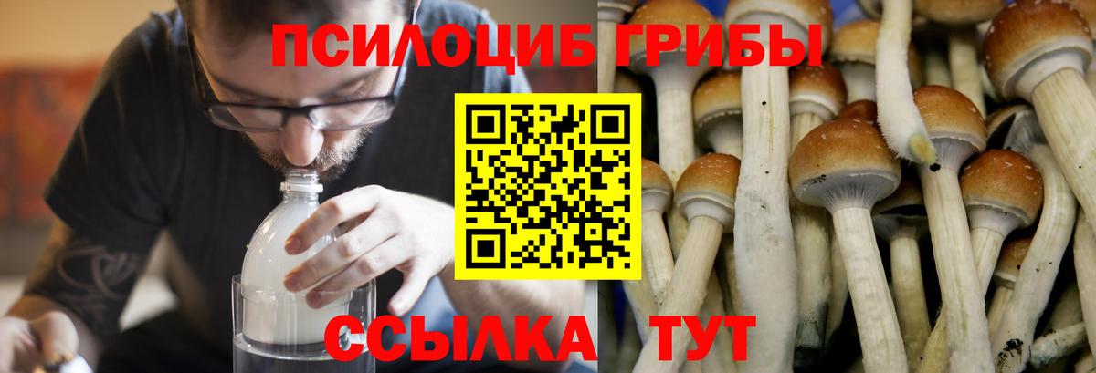 Псилоцибиновые грибы Magic Shrooms  Галлюциногенные грибы мицелий  наркошоп  Стрежевой  Вход с VPN 